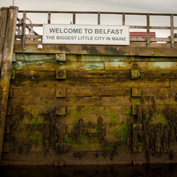 Picture 4 for Activity Belfast: VIP Private Bay Cruise on a Lobster Boat