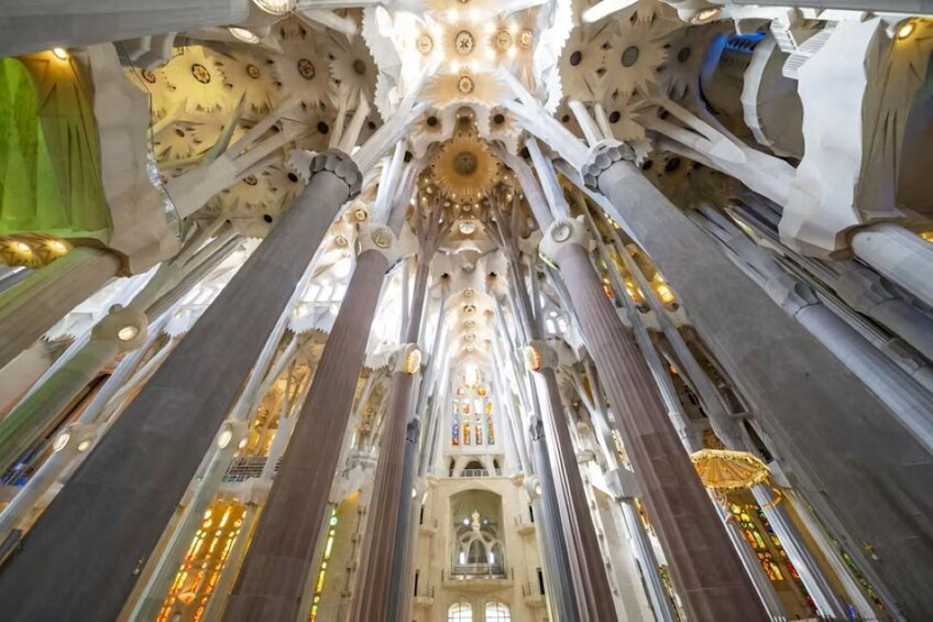 Sagrada Familia small-group tour with priority access & local expert guide