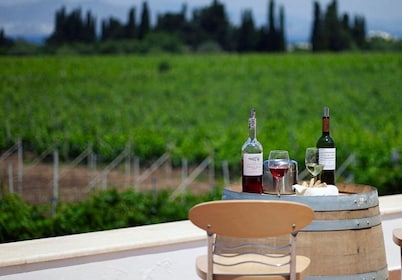 From Kos: Tour of 2 Wineries with Wine Tasting & Small Bites