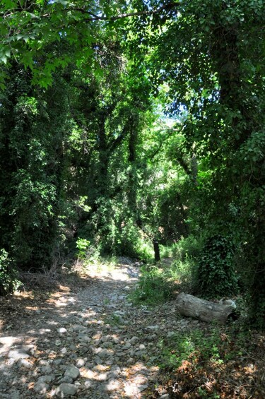 Picture 2 for Activity Elounda: Private tour to Rihti Waterfalls and Mochlos