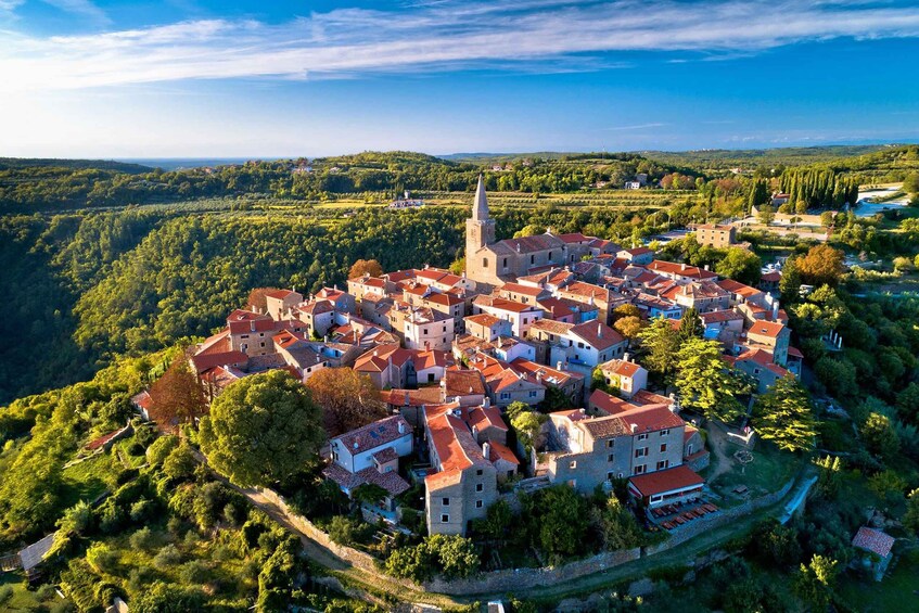 Picture 2 for Activity From Pula/Medulin: Istria in 1 Day Tour with Truffle tasting