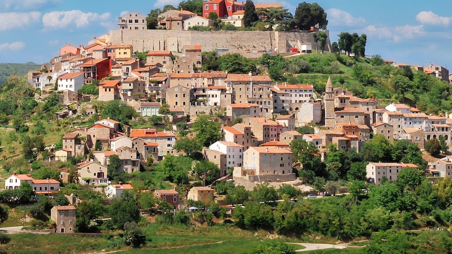 From Pula/Medulin: Istria in 1 Day Tour with Truffle tasting