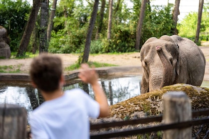 Arnhem: Burgers' Zoo Entry Ticket