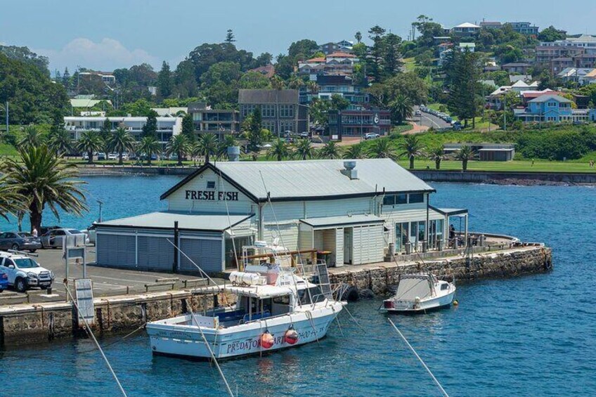 Kiama Harbour
