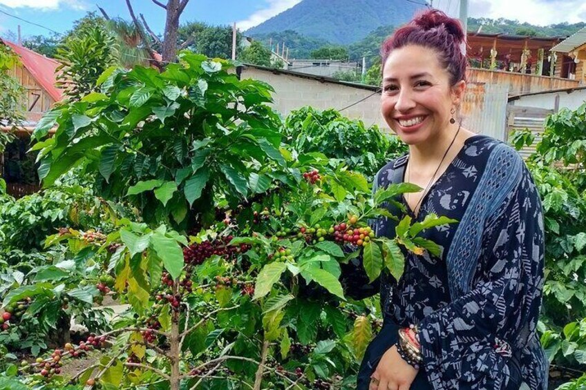 Coffee Tour in Lake Atitlán