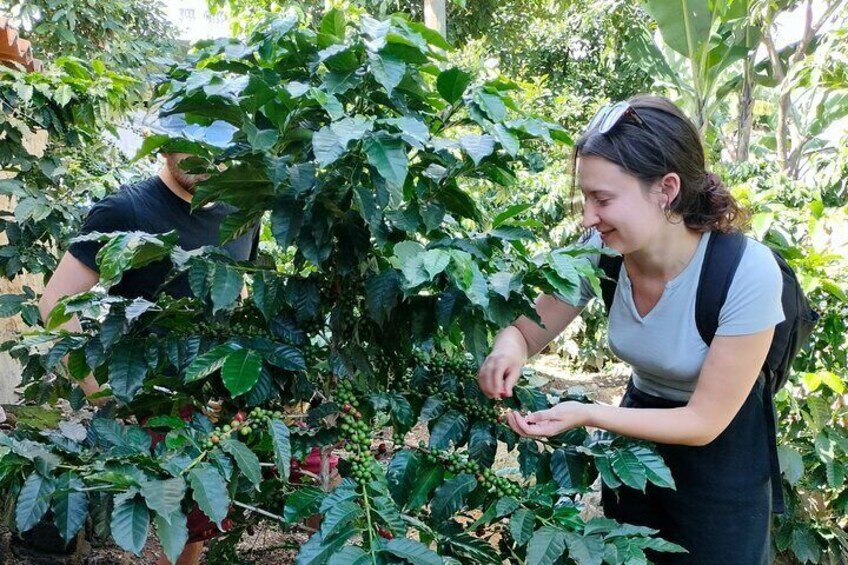 Coffee immersion