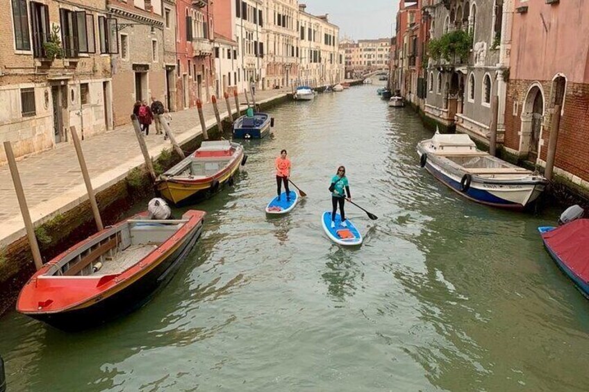 Private activity in Kayak or SUP in Venice