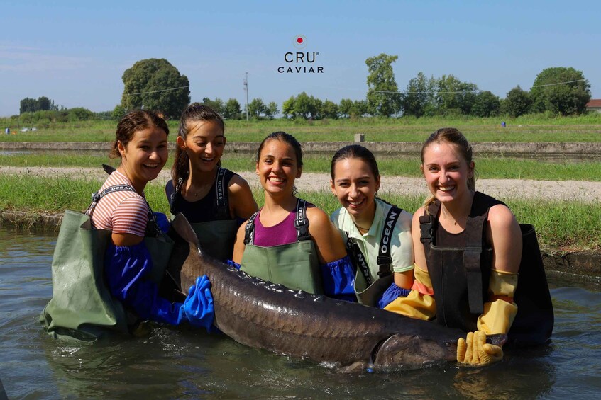 Picture 2 for Activity Discovering Caviar , Tour con degustazione (MN)