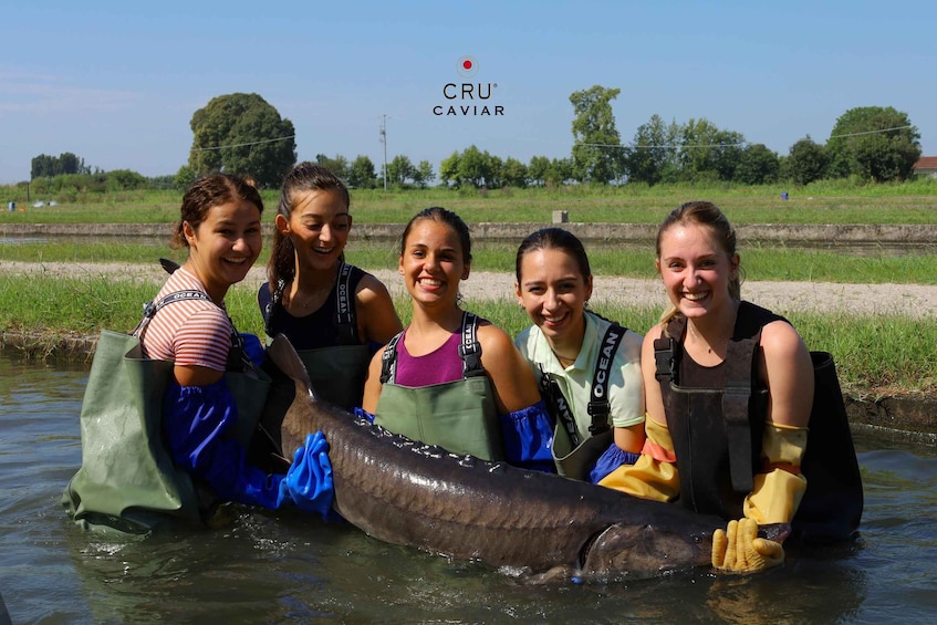 Picture 2 for Activity Discovering Caviar , Tour con degustazione (MN)