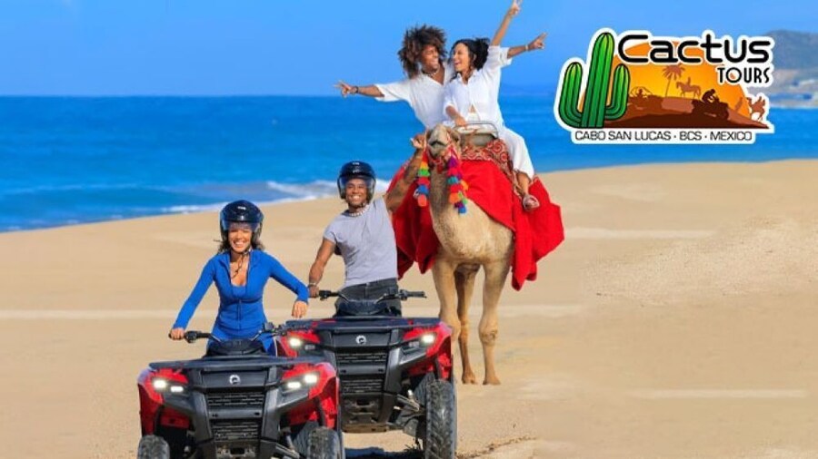 Beach ATV & Camel Ride COMBO in Cabo by Cactus Tours Park