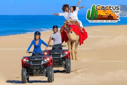 Combinación de paseo en cuatrimoto y camello por la playa con recogida en e...