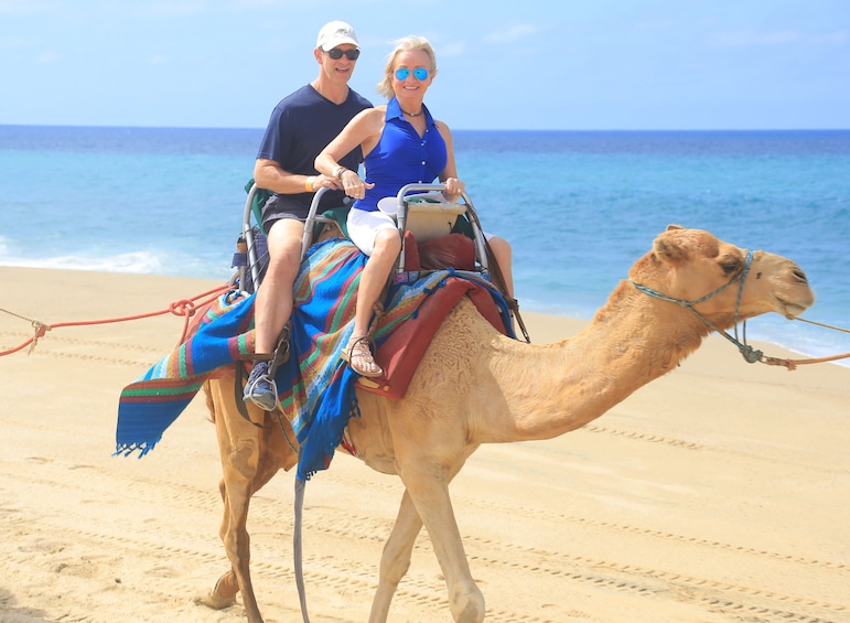 Beach UTV & Camel Ride COMBO in Cabo by Cactus Tours Park