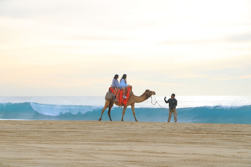 Beach CAN-AM SXS X3 & Camel Ride in Cabo by Cactus Tours Park              