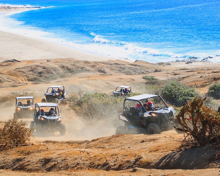 Beach CAN-AM SXS X3 & Camel Ride in Cabo by Cactus Tours Park              