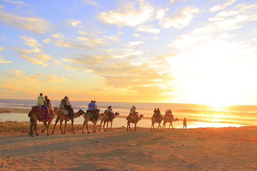 Beach CAN-AM SXS X3 & Camel Ride in Cabo by Cactus Tours Park