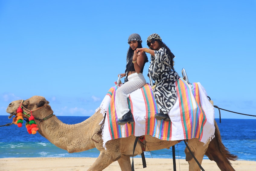 Beach CAN-AM SXS X3 & Camel Ride in Cabo by Cactus Tours Park