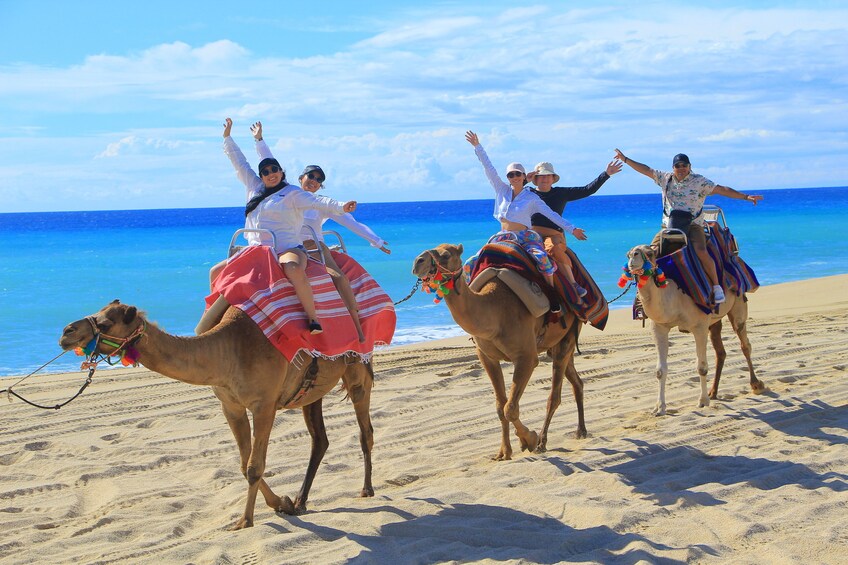 Combo 4X4 Automatic ATV & Camel Ride in Cabo by Cactus Tours Park 