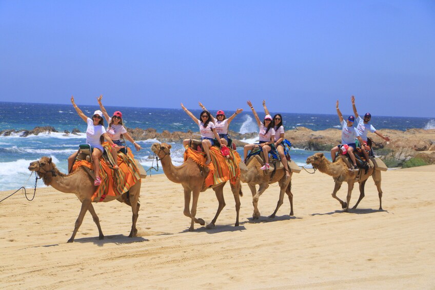 Combo 4X4 Automatic ATV & Camel Ride in Cabo by Cactus Tours Park 