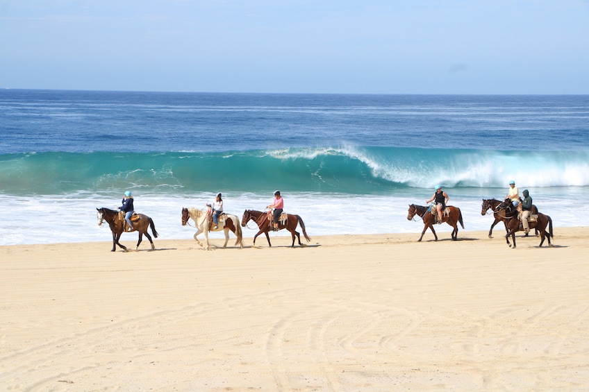 Beach CAN-AM SXS X3 & Horseback Ride in Cabo by Cactus Tours Park