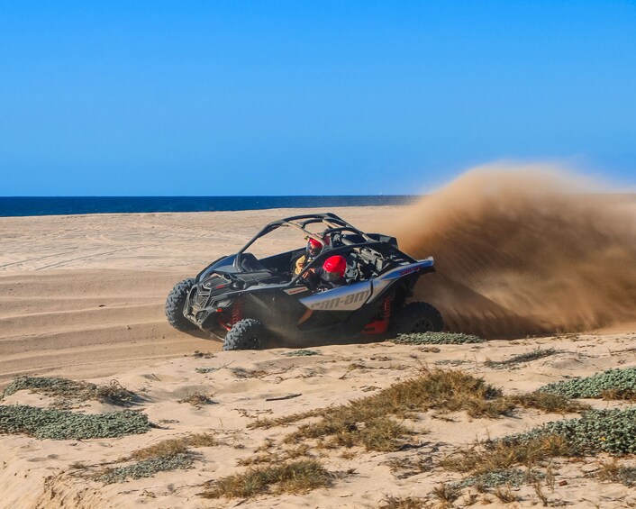 Beach & Desert UTV X3 Tour in Cabo (Price for a 4 seater vehicle)