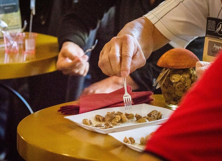 Picture 8 for Activity Meteora Truffle Hunting Experience with Lunch & Museum Visit