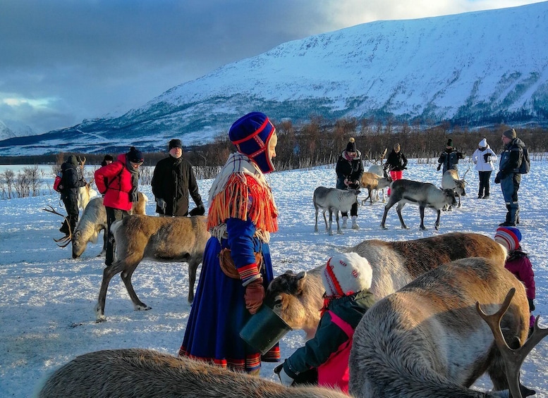 Picture 4 for Activity From Tromsø: Reindeer Feeding and Sami Experience with Lunch