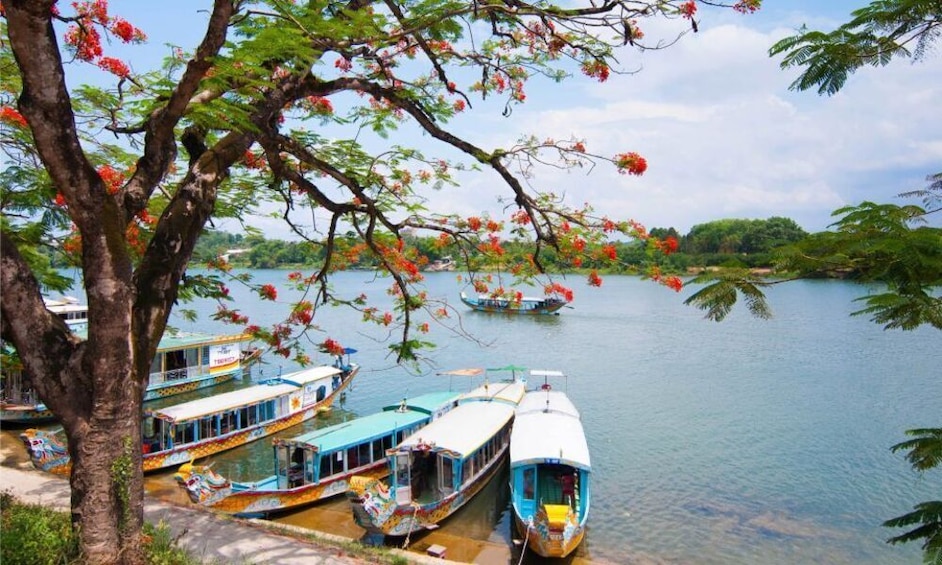 Hue Imperial City & Hai Van Pass Day Tour from Hoi An - Small Group