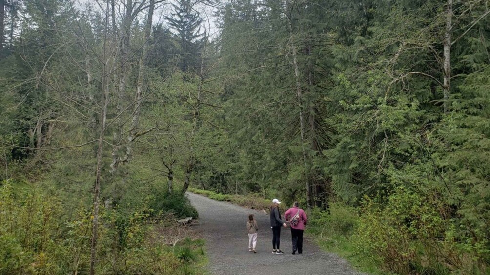 Picture 3 for Activity From Seattle: Cascades Hiking & Snoqualmie Falls Tour