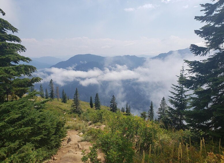 Picture 5 for Activity From Seattle: Cascades Hiking & Snoqualmie Falls Tour