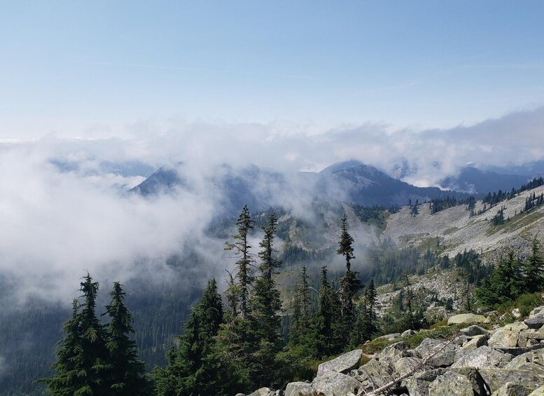 Picture 4 for Activity From Seattle: Cascades Hiking & Snoqualmie Falls Tour