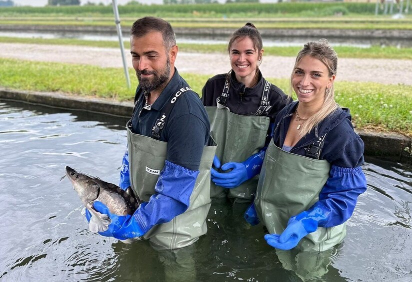 Picture 4 for Activity Beluga Caviar Tour