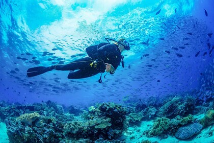 巴厘岛：3 天的 PADI 开放水域潜水课程