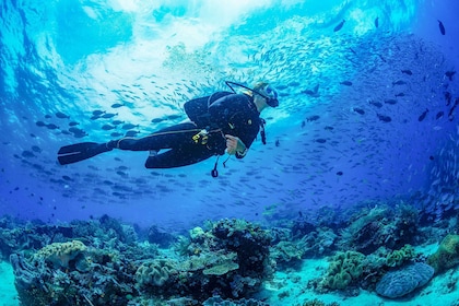 Bali : Cours de plongée en eau libre PADI de 3 jours