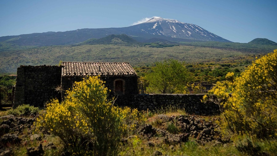 Old Sicily and Etna wine tasting tour from Taormina