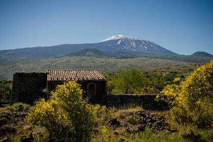 Old Sicily and Etna wine tasting tour from Taormina