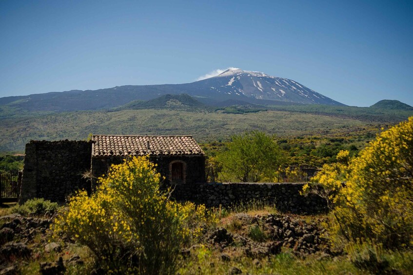 Alcantara valley and wine tasting tour from Taormina