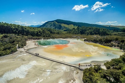 Dari Auckland: Tur Kelompok Sorotan Rotorua