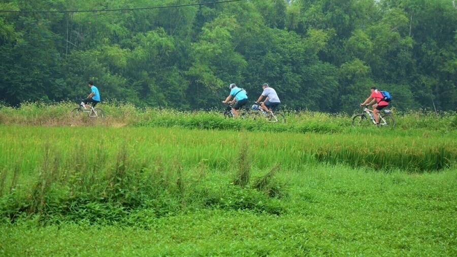Half-Day Hanoi Countryside and Red River Delta Bike Tour