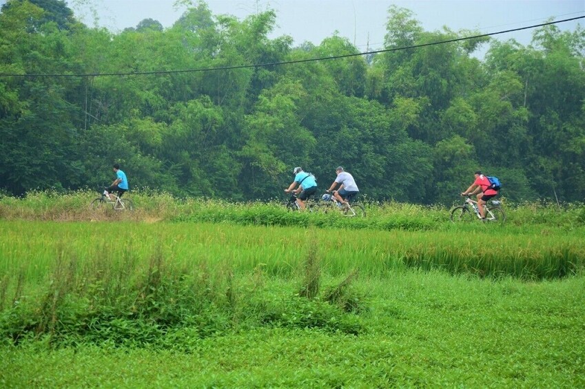 Half-Day Hanoi Countryside and Red River Delta Bike Tour