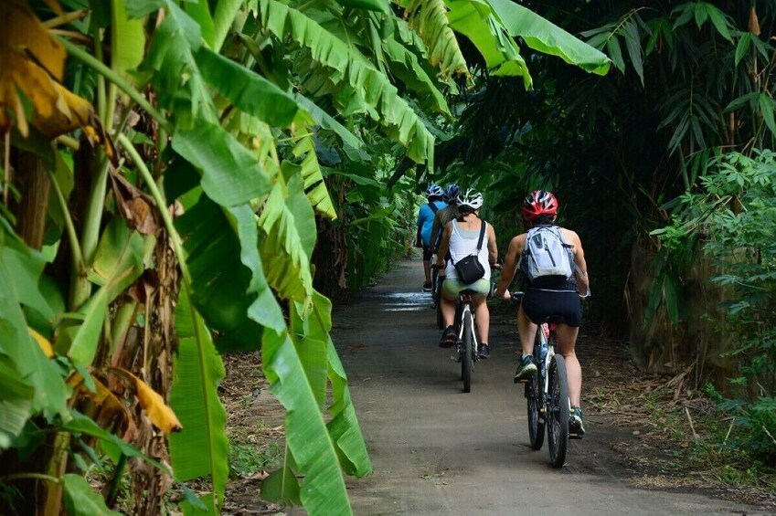 Sunrise Cycling Adventure in Hanoi Lake Views Historic Sites Local Markets