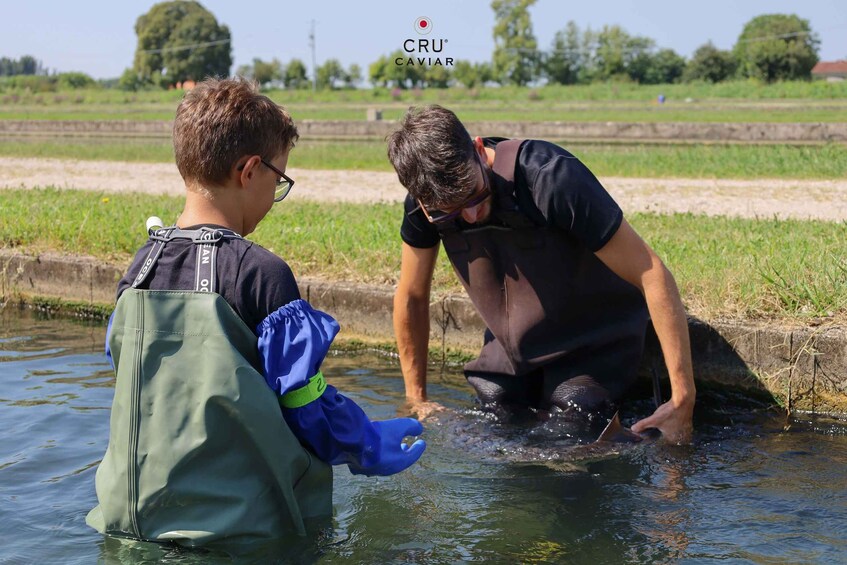 degustazione di Caviale e visita al CRU