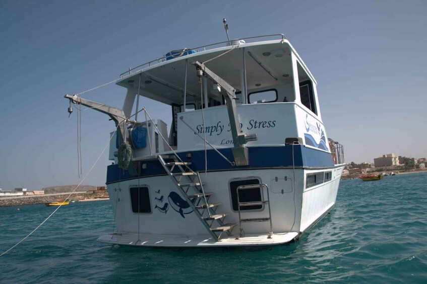 Picture 10 for Activity Boa Vista: Full-Day Whale Watching Tour