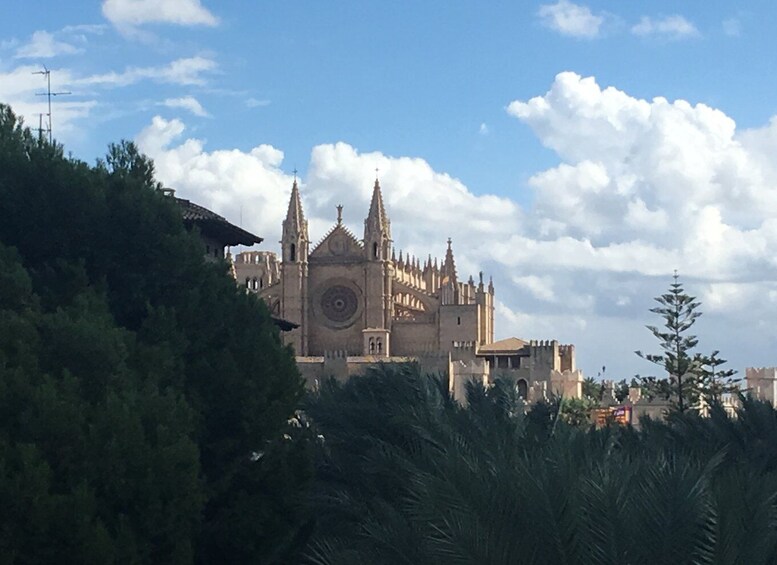 Picture 8 for Activity Palma de Mallorca: Guided Tour of the Old Town