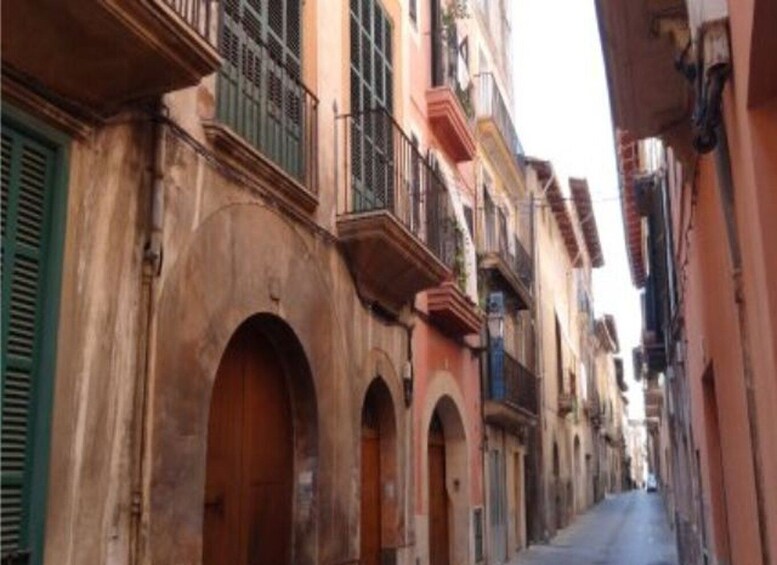 Picture 16 for Activity Palma de Mallorca: Guided Tour of the Old Town