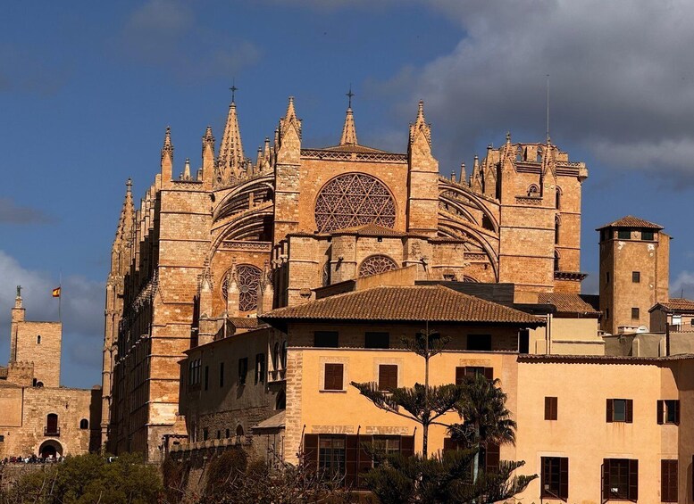 Picture 7 for Activity Palma de Mallorca: Guided Tour of the Old Town