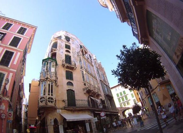 Picture 12 for Activity Palma de Mallorca: Guided Tour of the Old Town