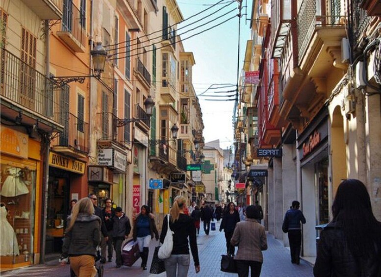 Picture 13 for Activity Palma de Mallorca: Guided Tour of the Old Town