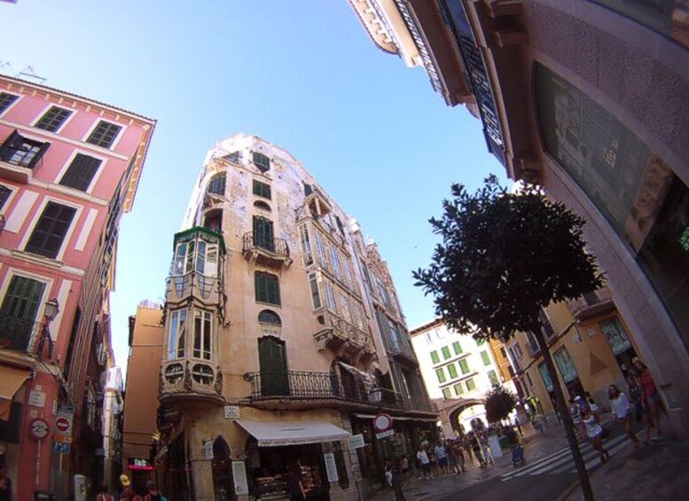 Picture 17 for Activity Palma de Mallorca: Guided Tour of the Old Town