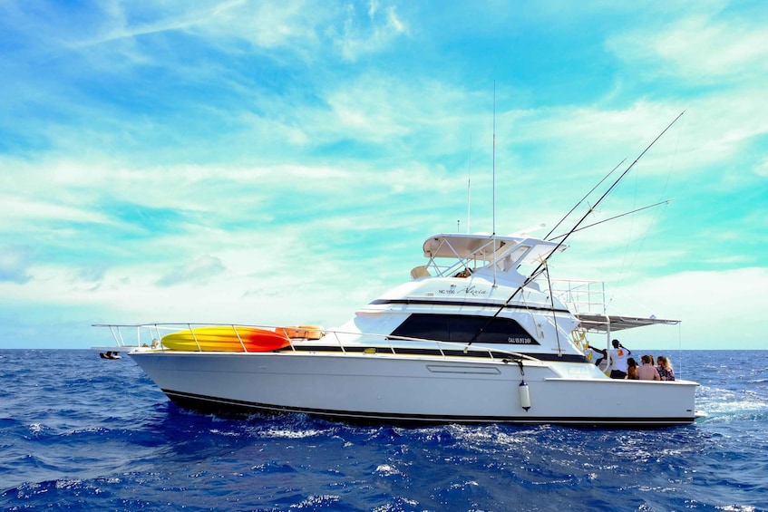 Picture 7 for Activity From Willemstad: Full-Day Boat Tour to Klein Curaçao