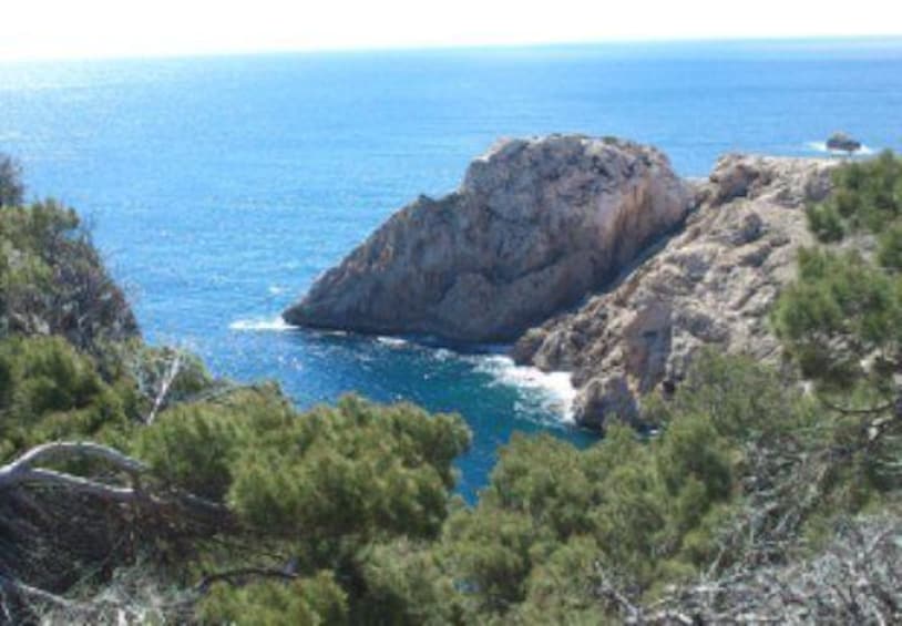 Picture 14 for Activity From Cala Millor: Half-Day Buggy Tour of Mallorca